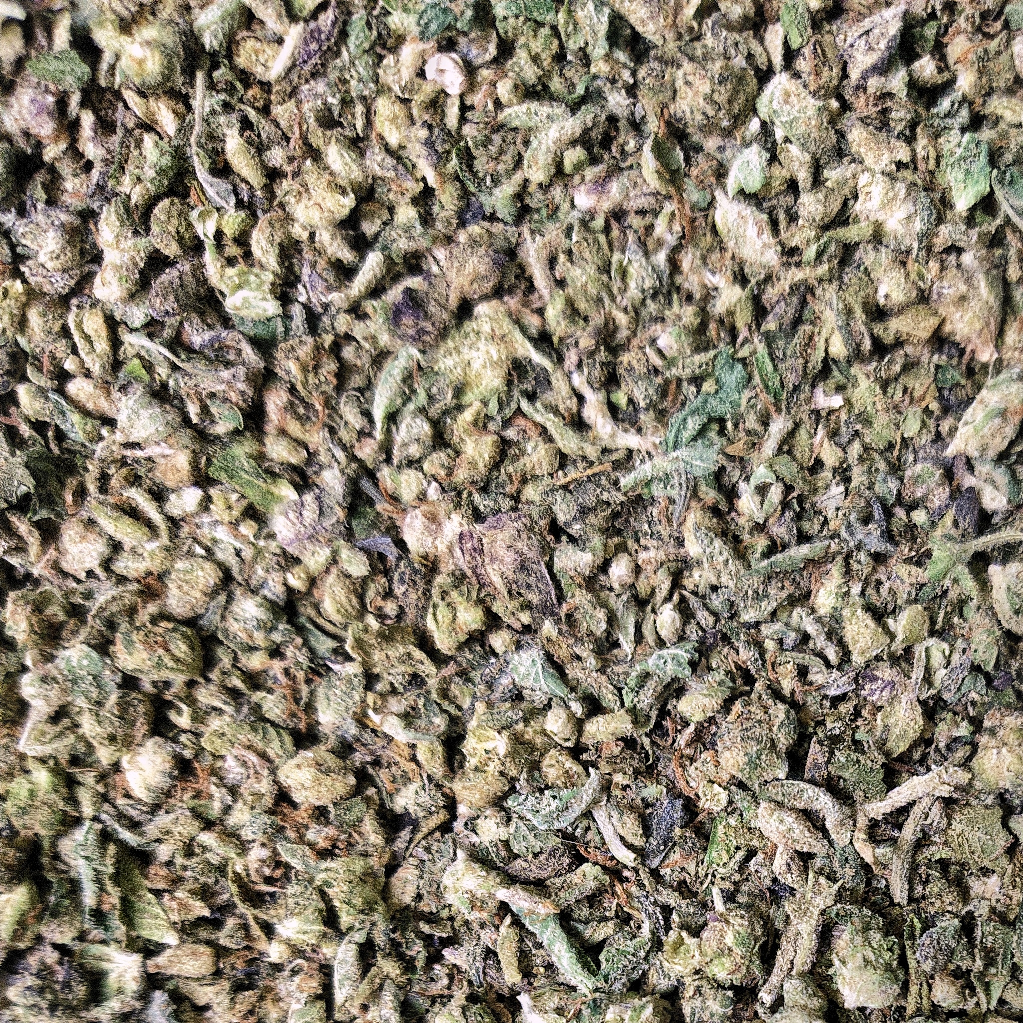 Zephyr’s Shake Blend – $75oz