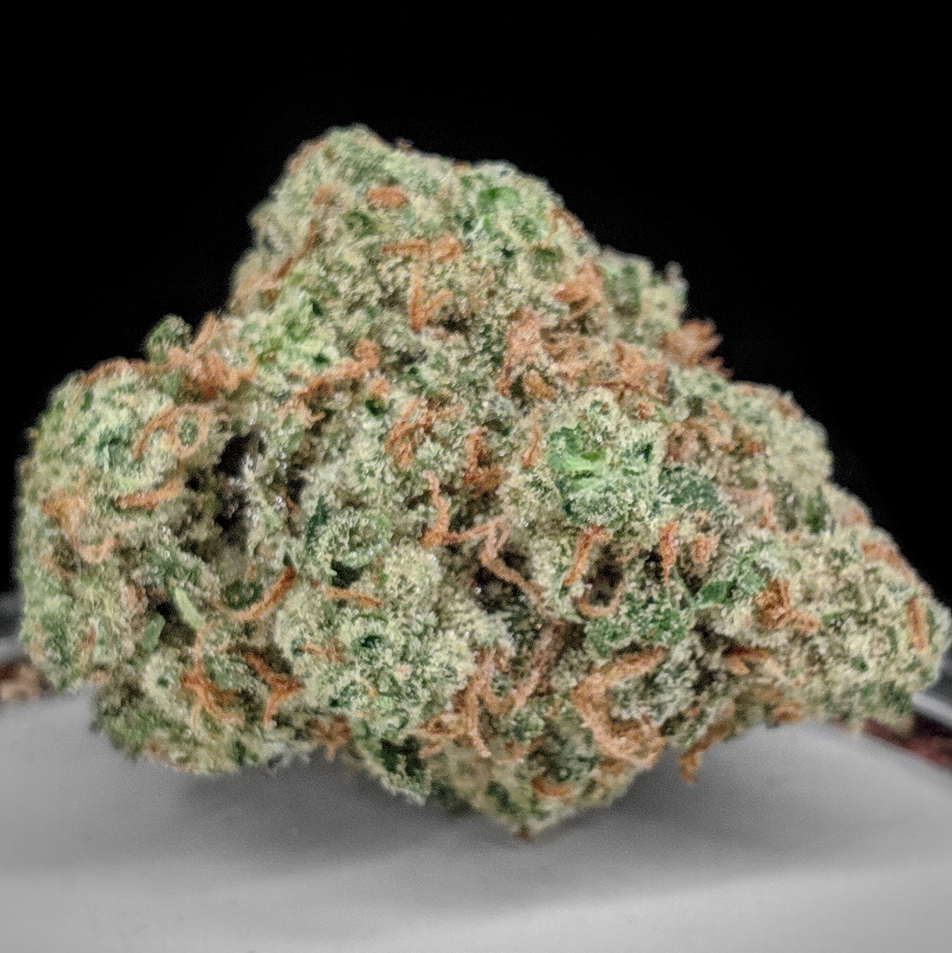 **NEW** ⚡️🌲⚡️Jack Herer xr $200oz / $115½oz