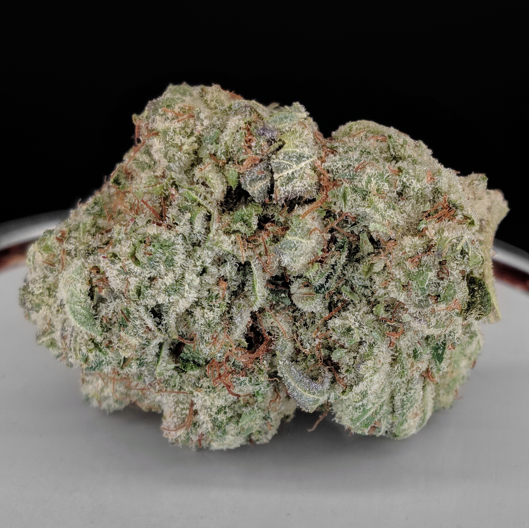 🦍 💨 🦍 GORILLA GLUE #4 XR popcorn $155 oz