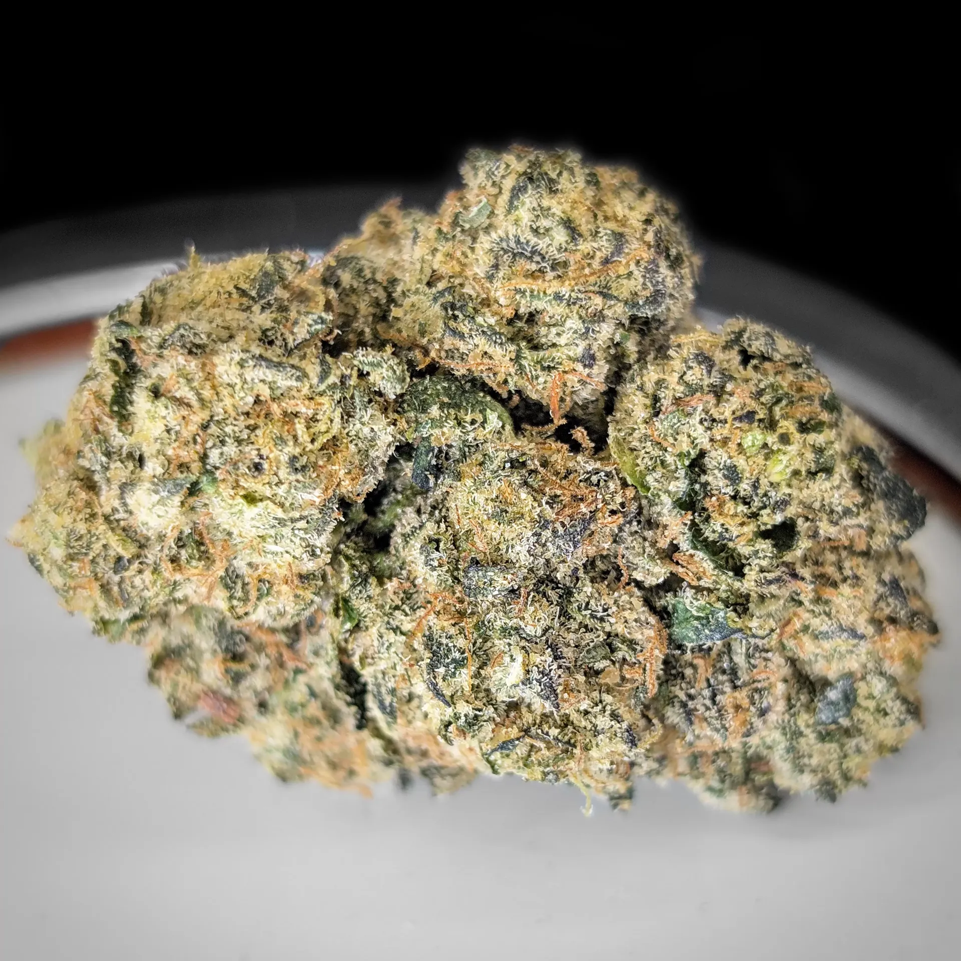 **NEW** 🌈 🌳🌈 Rainbow Runtz pr $175oz / $100½oz