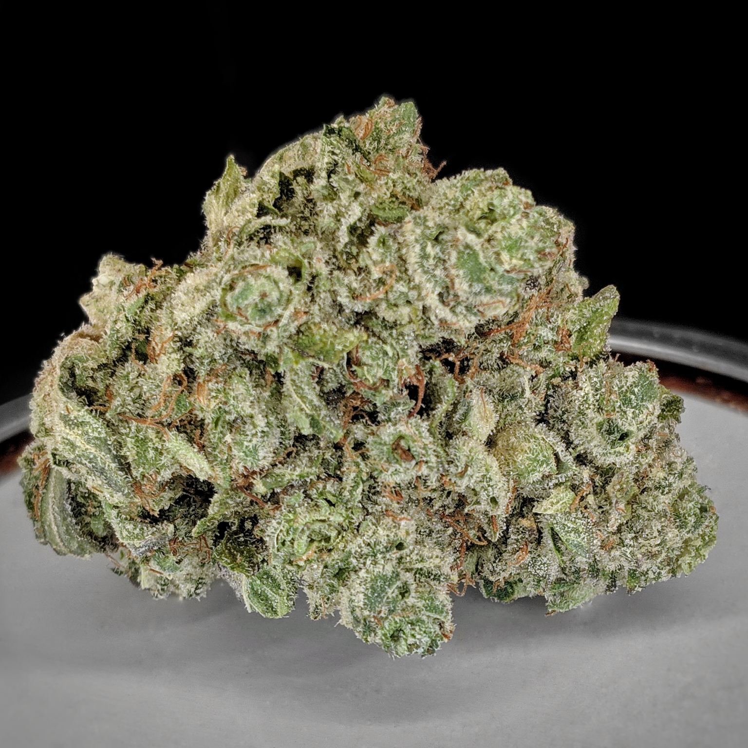 🦍🔥 🦍 Gorilla OG popcorn $140