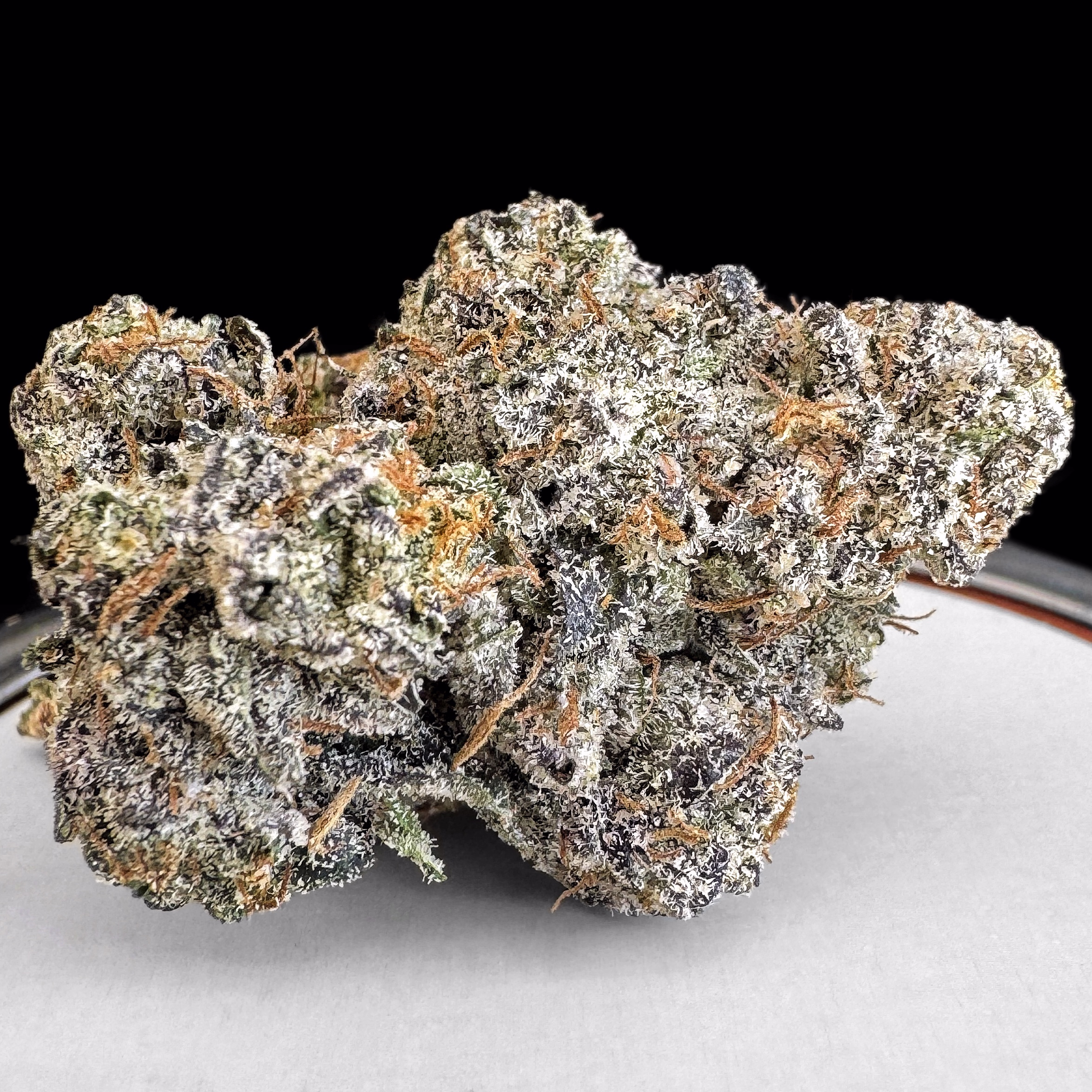 **NEW** 🏎️🏁🚦F1 xr $210oz / 120½oz