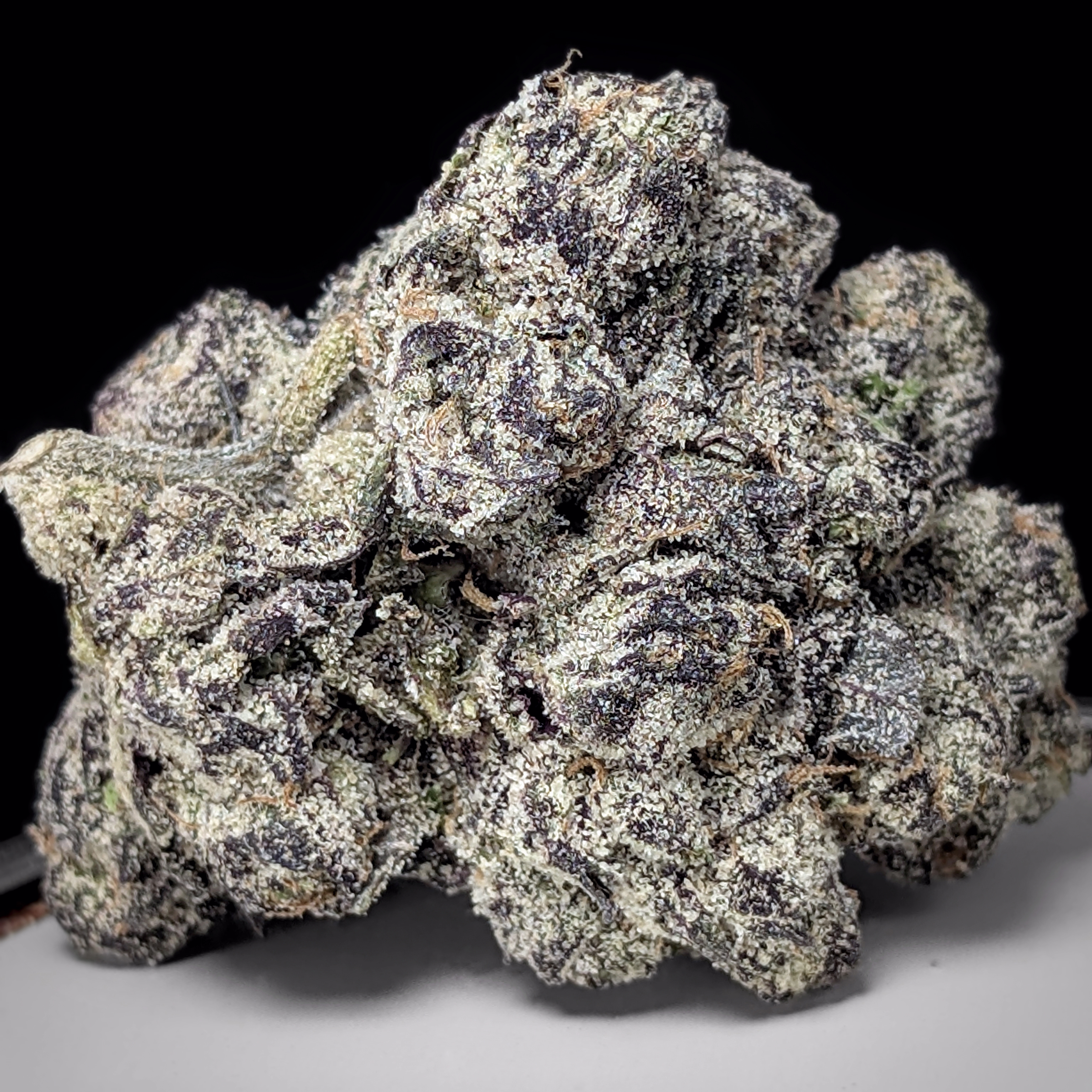 **Exotic** 💤 🫐😴 M.O.B. ex $220oz / $130½oz