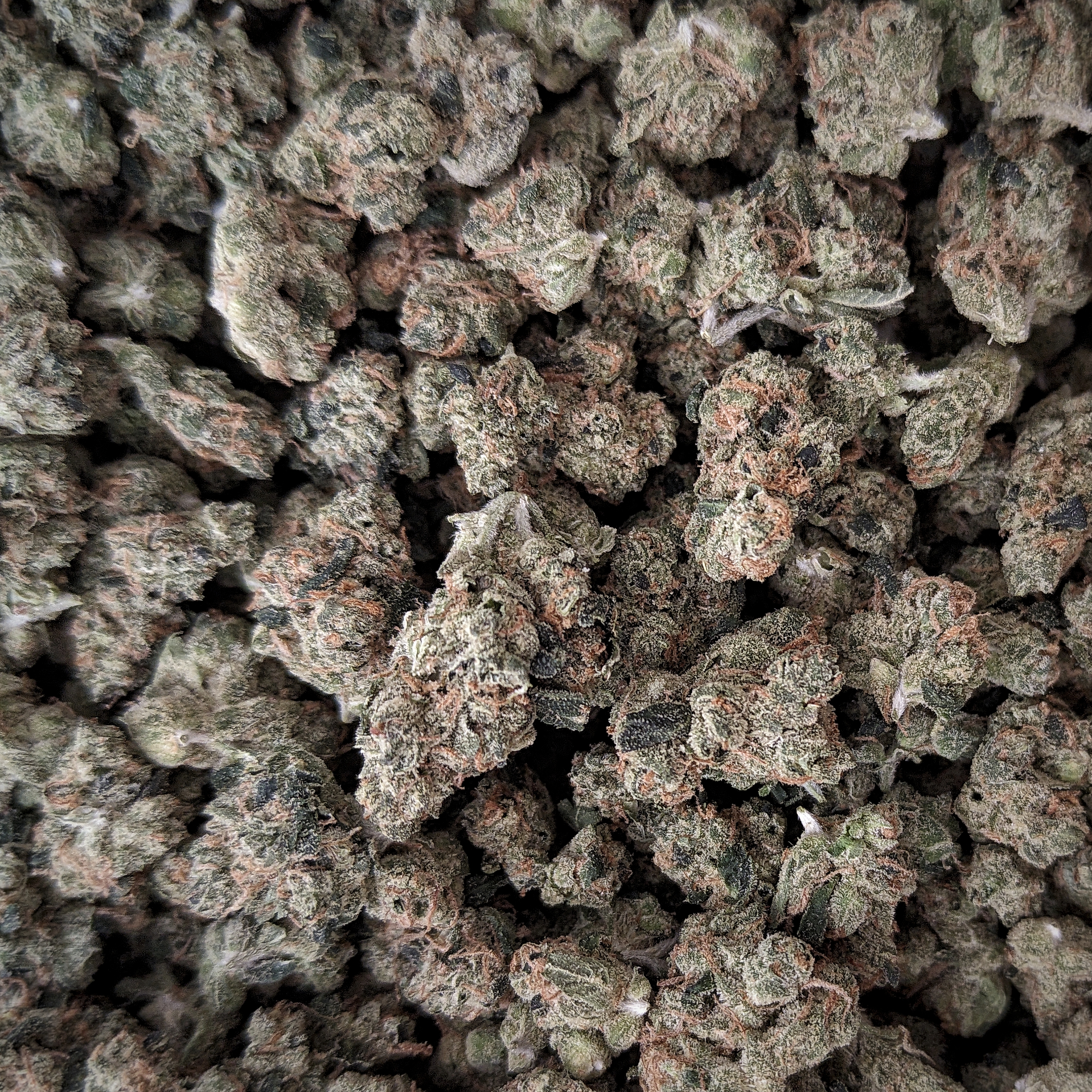 NYC Sour Diesel popcorn $115oz