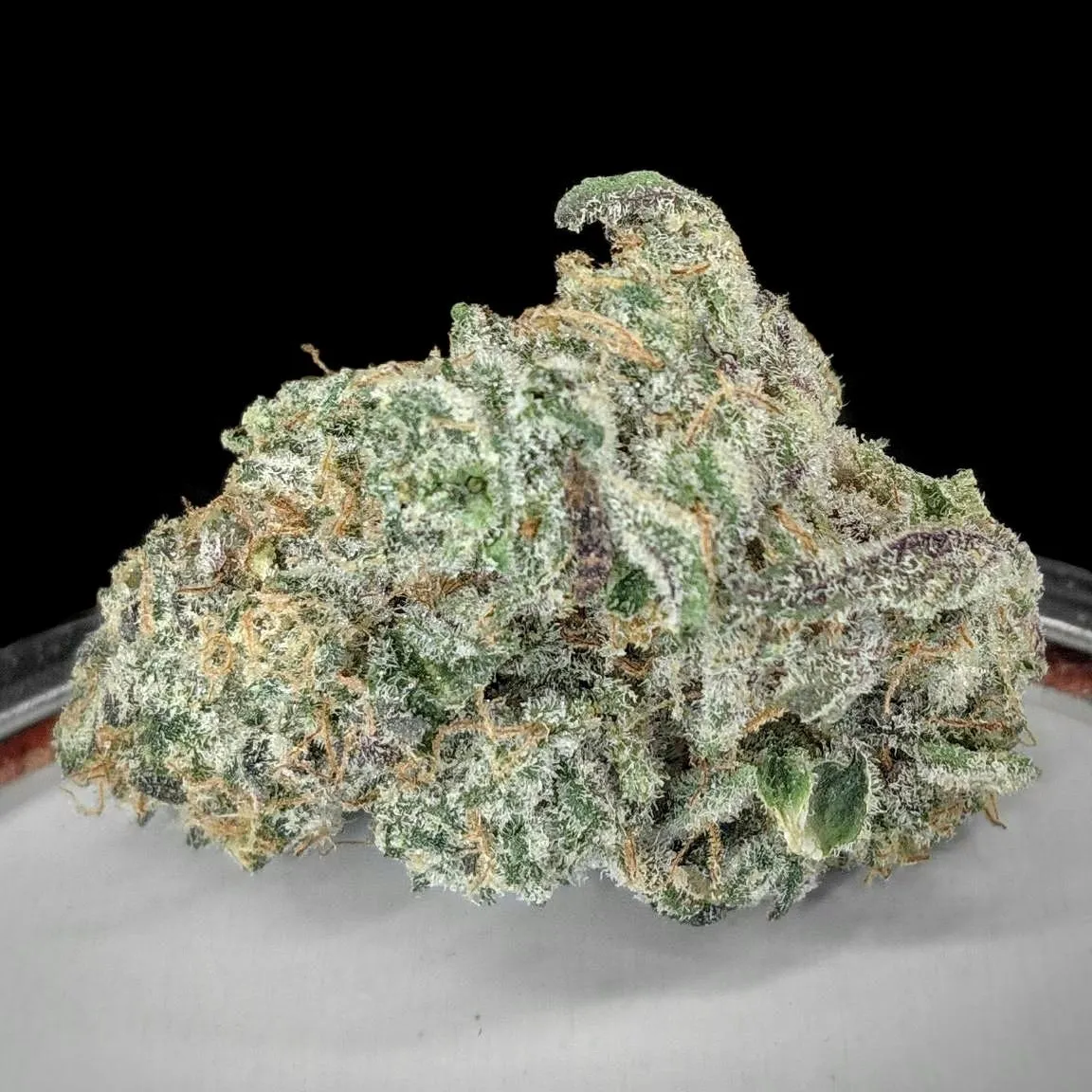 **NEW**🧴🔥🧴Elmer’s Glue XR $205oz / $120½oz