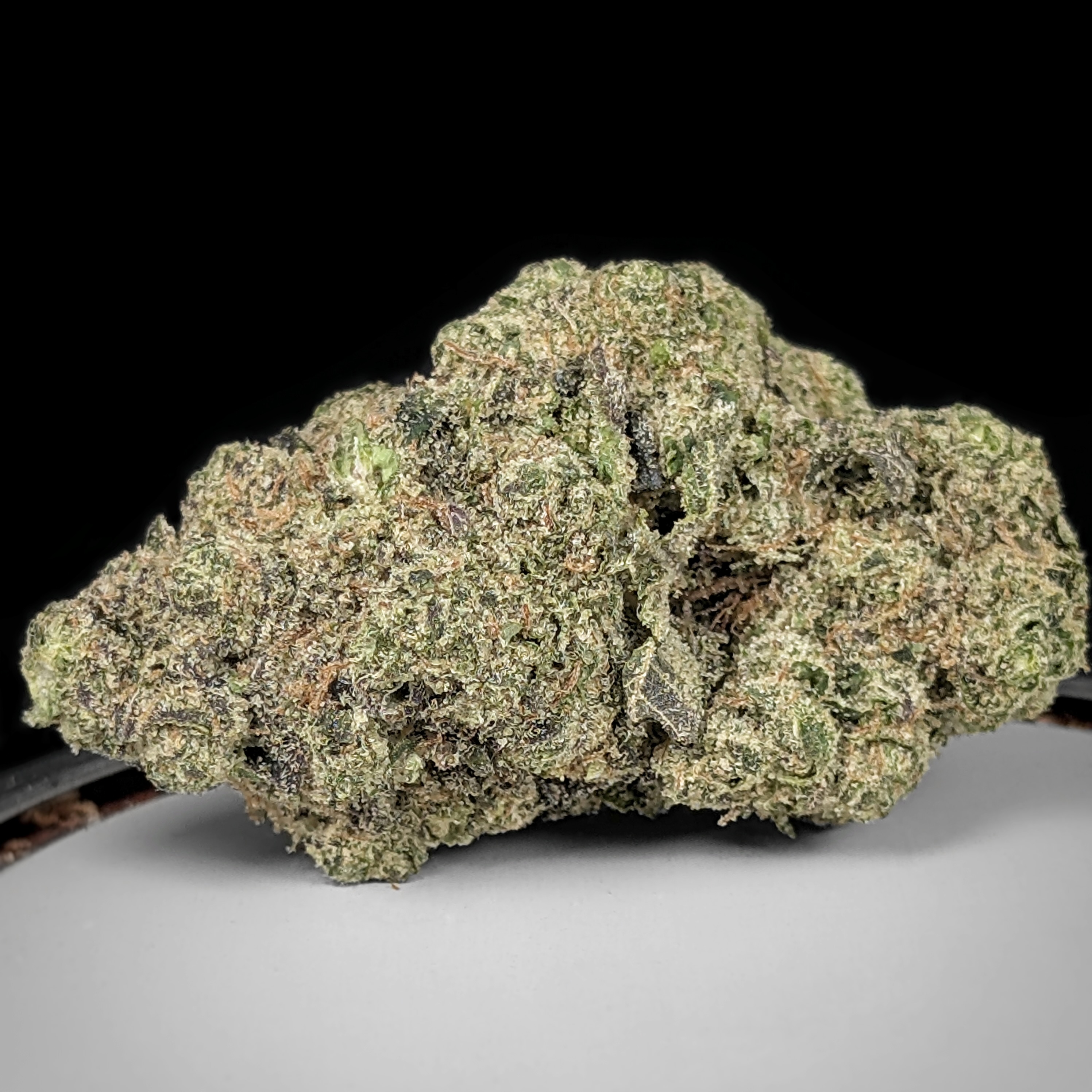 👽🧄🛸ALIEN GARLIC BREATH popcorn $155oz